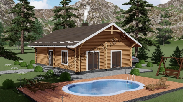 Wooden house "LION"-1